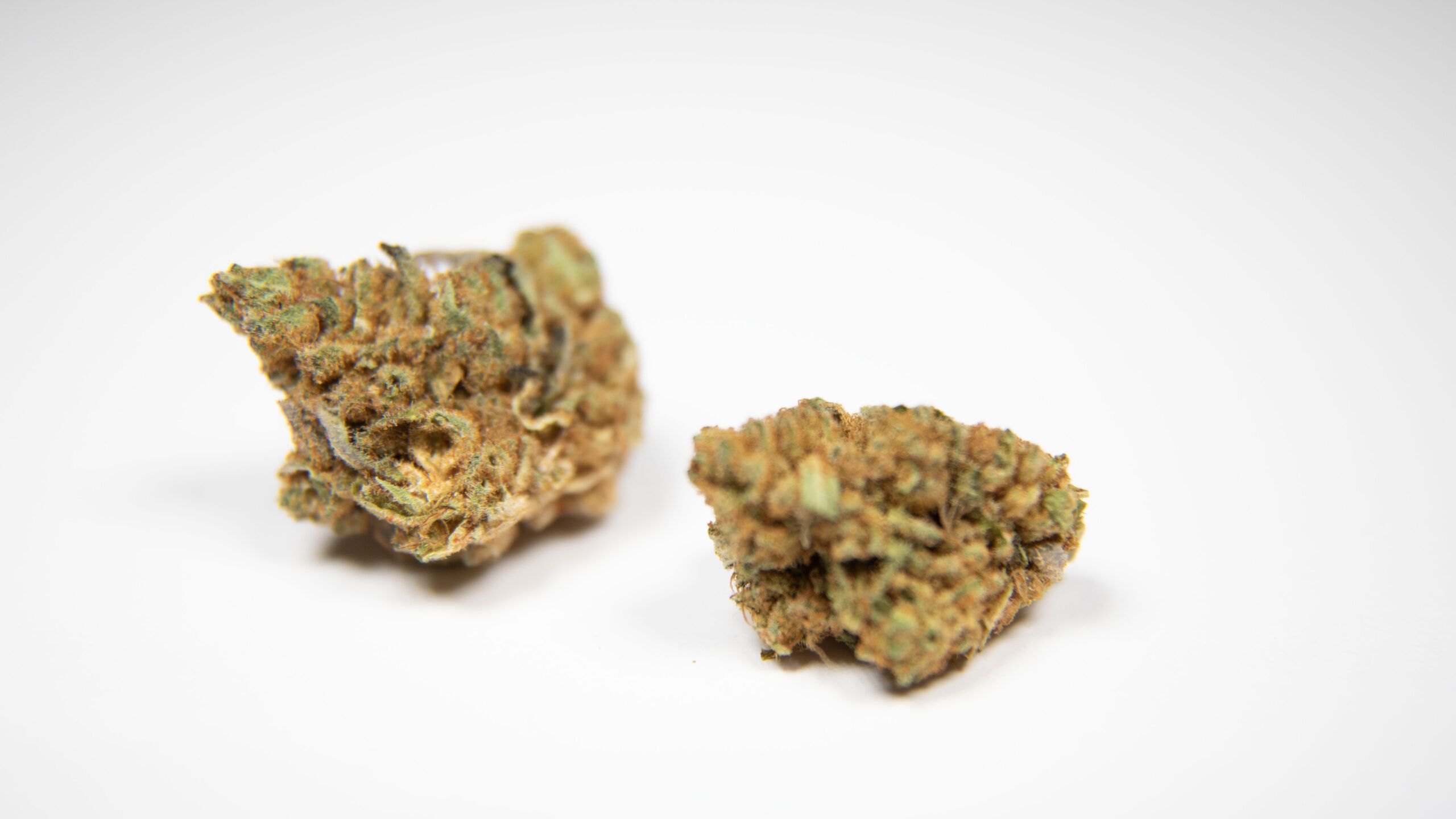 The Science of Light: Why Top Growers Trust LEDs for High-End Cannabis